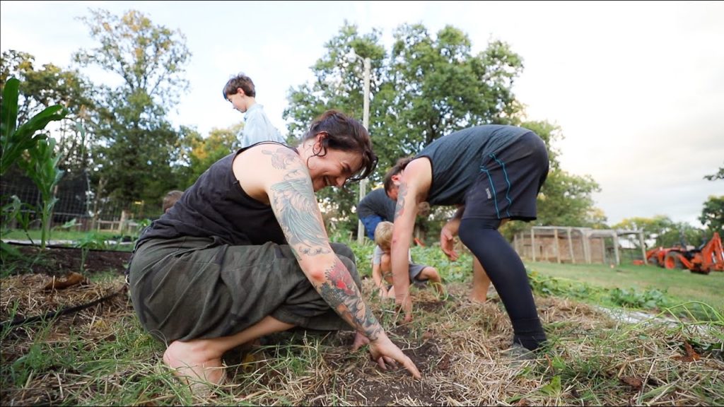 Harvesting Sweet Potatoes with MY FIVE SONS! | VLOG