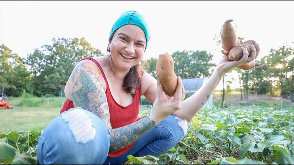 Are these sweet potatoes ready? (and the High Tunnel REFUGE) | VLOG