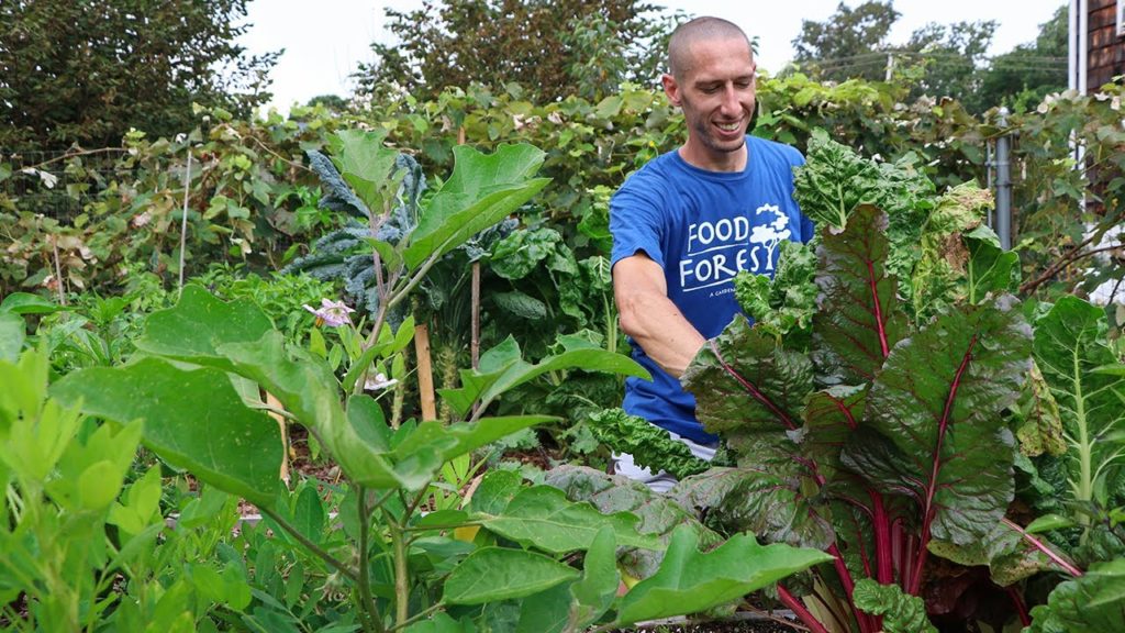 James Prigioni: 12 Cold Hardy Vegetables EVERYONE should be Growing through Fall and Winter! 12 Cold Hardy Vegetables EVERYONE should be Growing through Fall and Winter!