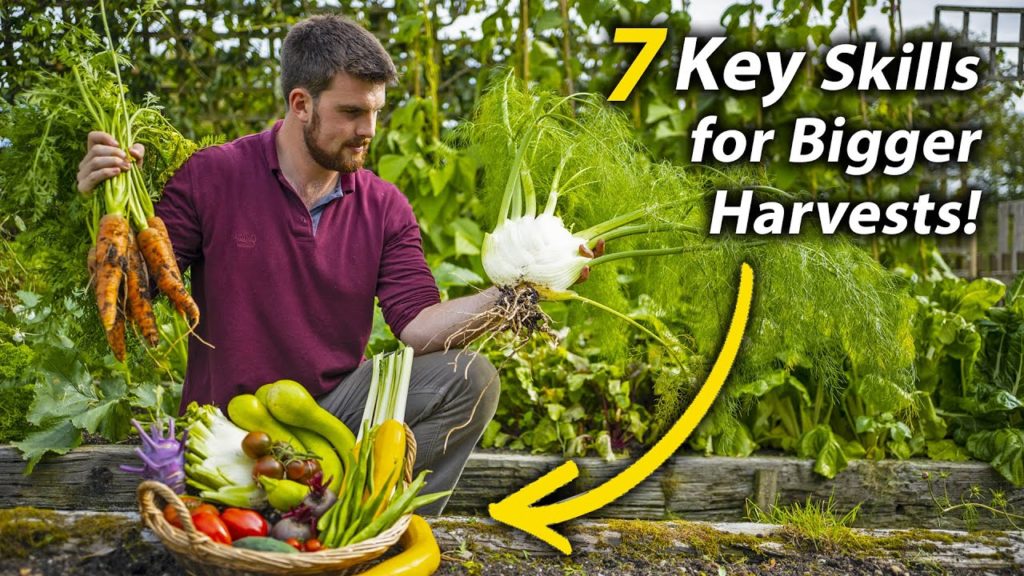 7 Simple Skills That Increase Your Garden's Productivity | High-Yield Permaculture Gardening