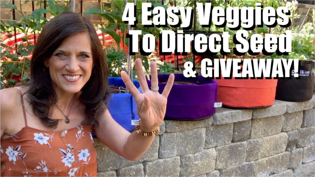 4 Easy Vegetables to Plant From Seed in Containers or Garden & GIVEAWAY! / Fall Garden Series #2🥕🍁🥬
