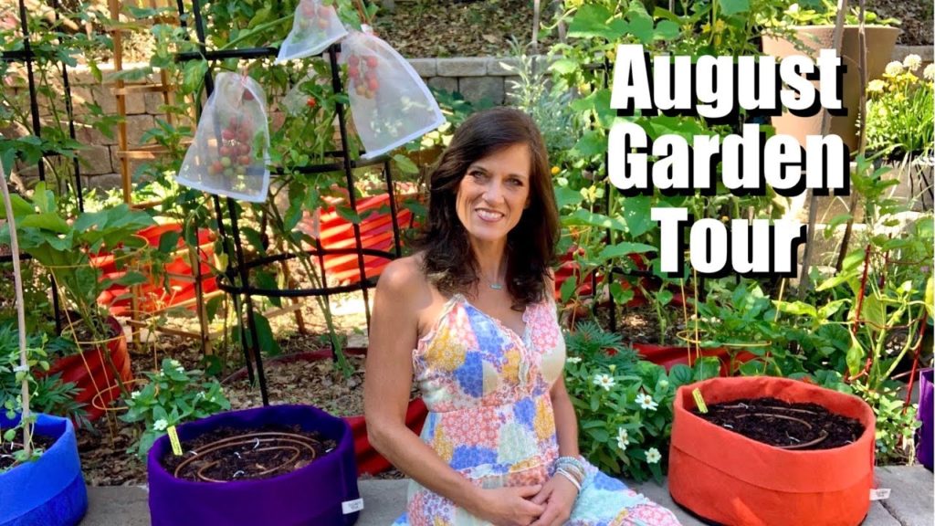 August Garden Tour- Record Heat Wave, Battling Pests & Critters, Planting More Vegetables! 🍅🥒🍆