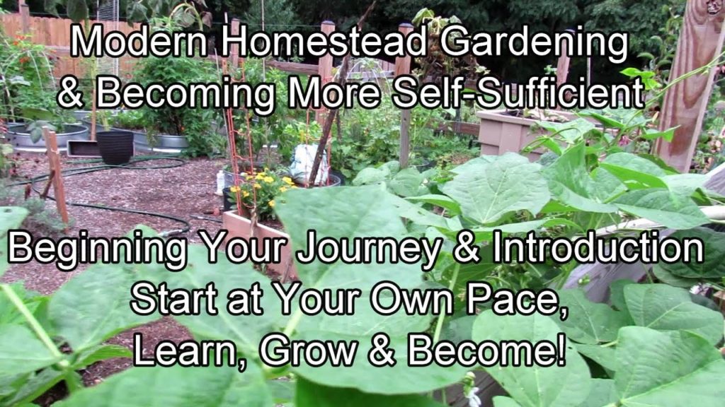 Modern Homestead Gardening & Becoming Self-Sufficient 1of12: Beginning Your Journey & Introduction