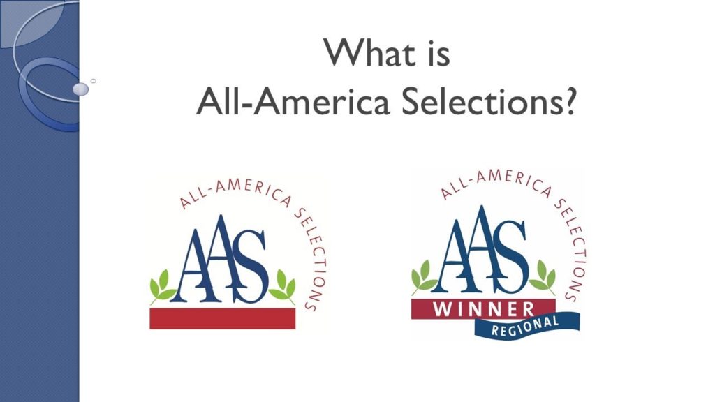 What is All-America Selections?