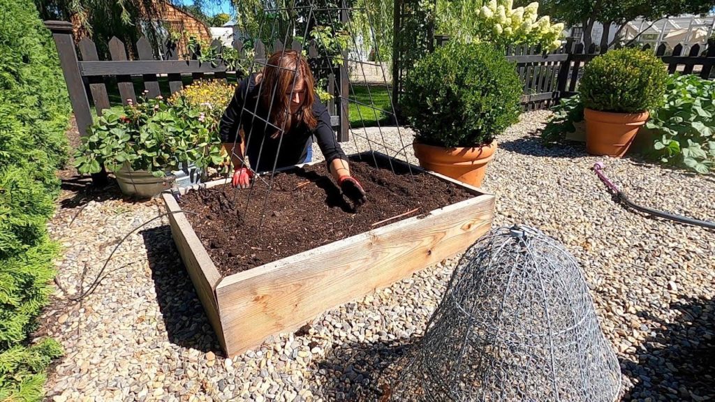 Garden Answer: 5 Super Fast Crops to Grow for Fall Harvest! 🌿👩🌾// Garden Answer 5 Super Fast Crops to Grow for Fall Harvest! 🌿👩🌾// Garden Answer