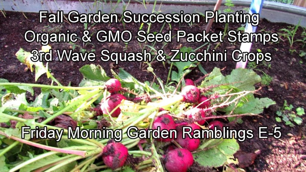 Fall Garden Succession Planting, Organic & GMO Seed Packet Stamps: FM Garden Ramblings & Tour E-5