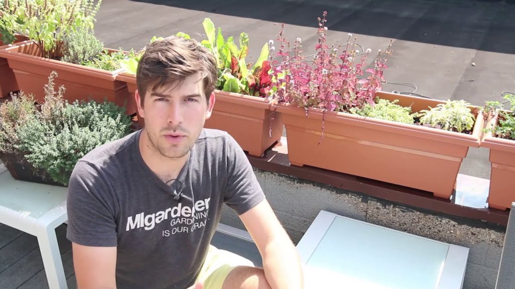 Lessons Learned From Our First Rooftop Garden pt. 1 - Containers and Location