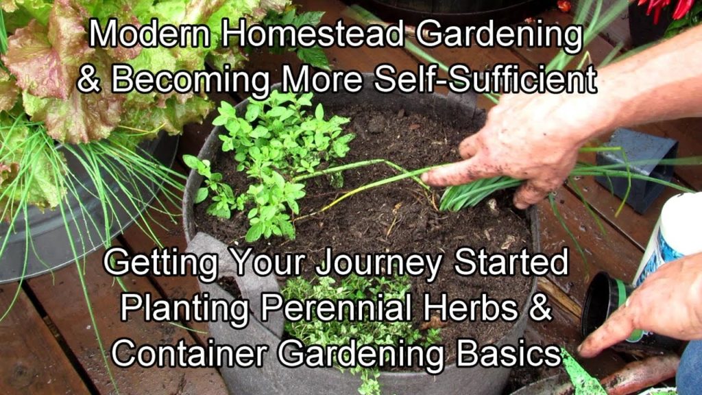 Modern Homestead Gardening & Becoming Self-Sufficient 2-12: Get Started! Herbs & Container Basics