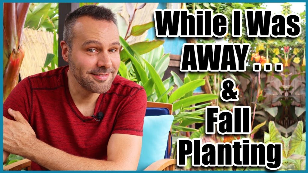 VLOG - While I Was Away & Fall Planting