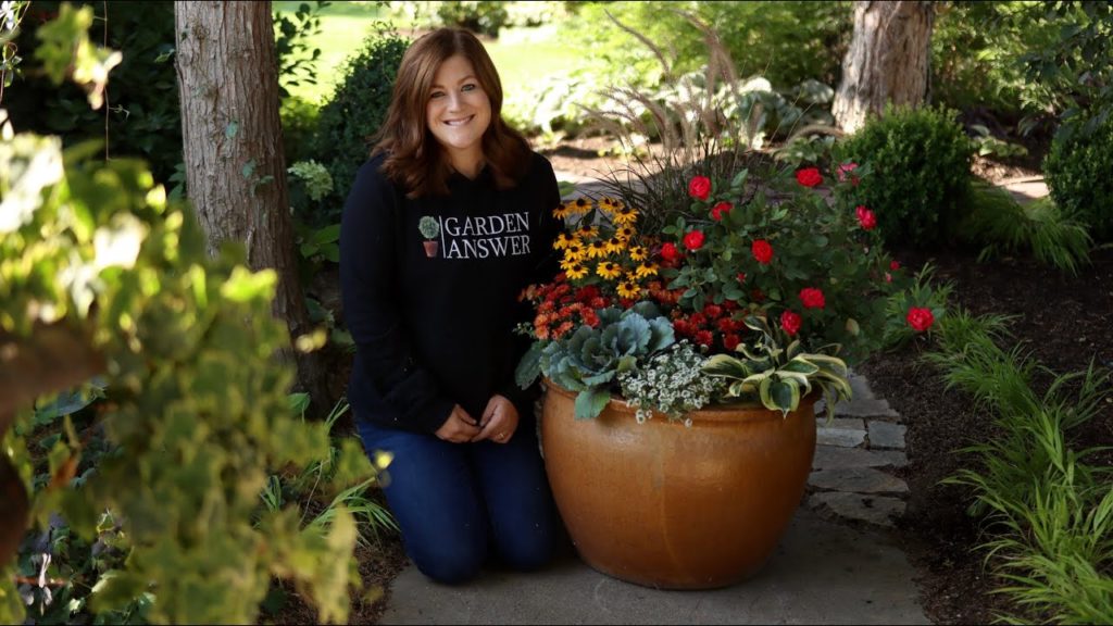 All the Fall Colors in One Container! 🍁🧡🍂// Garden Answer