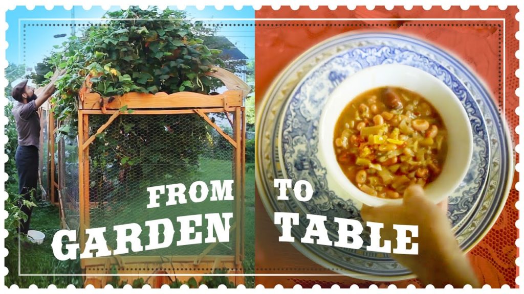 Siloé Oliveira: September Garden Tour Harvest and Recipe – Minestrone Soup September Garden Tour Harvest and Recipe - Minestrone Soup