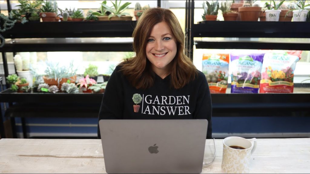 Are You Affected By the Fires in Oregon? // What Happens if There are Air Pockets in the Soil?