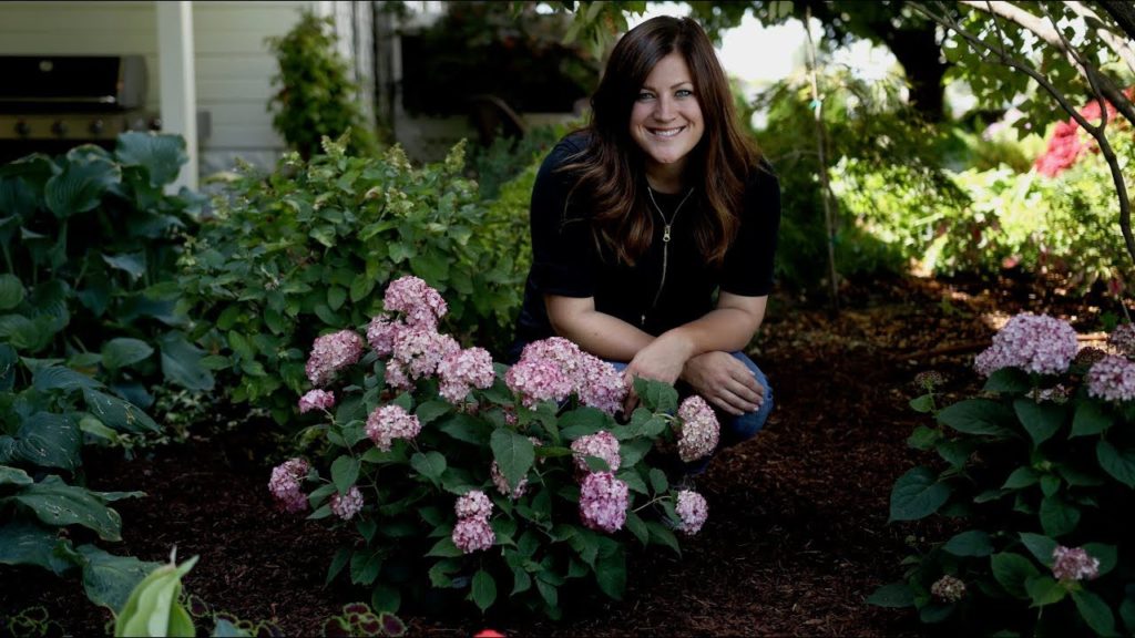 Planting Invincibelle Ruby Hydrangea 💜🙌🌿// Garden Answer