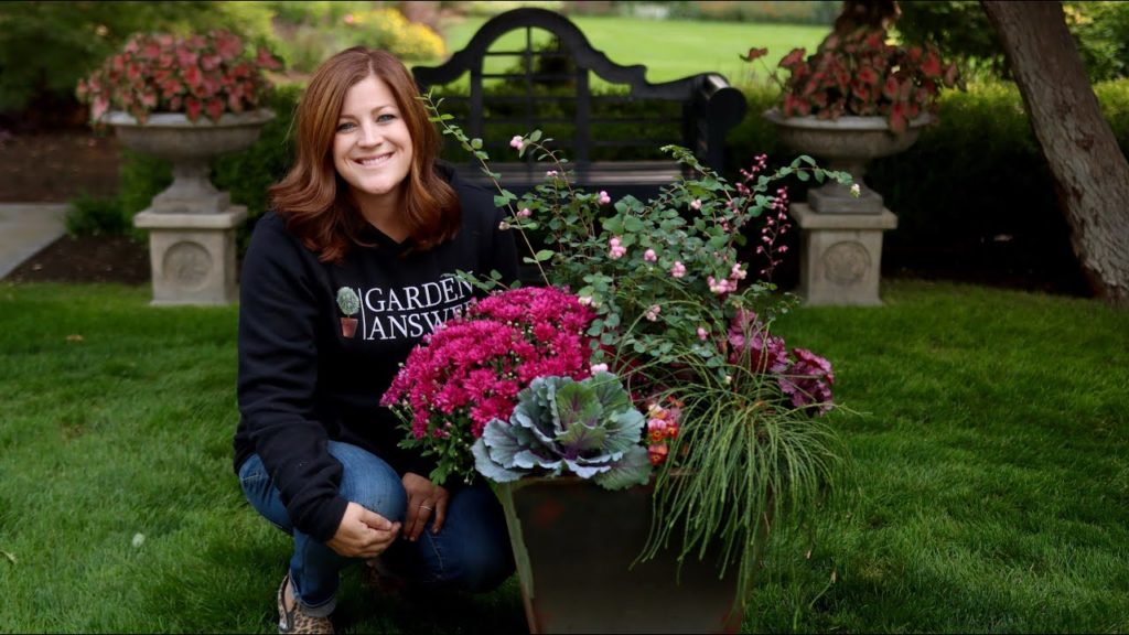 Garden Answer: Fall in Shades of Pink! 🍁💗🍂 // Garden Answer Fall in Shades of Pink! 🍁💗🍂 // Garden Answer