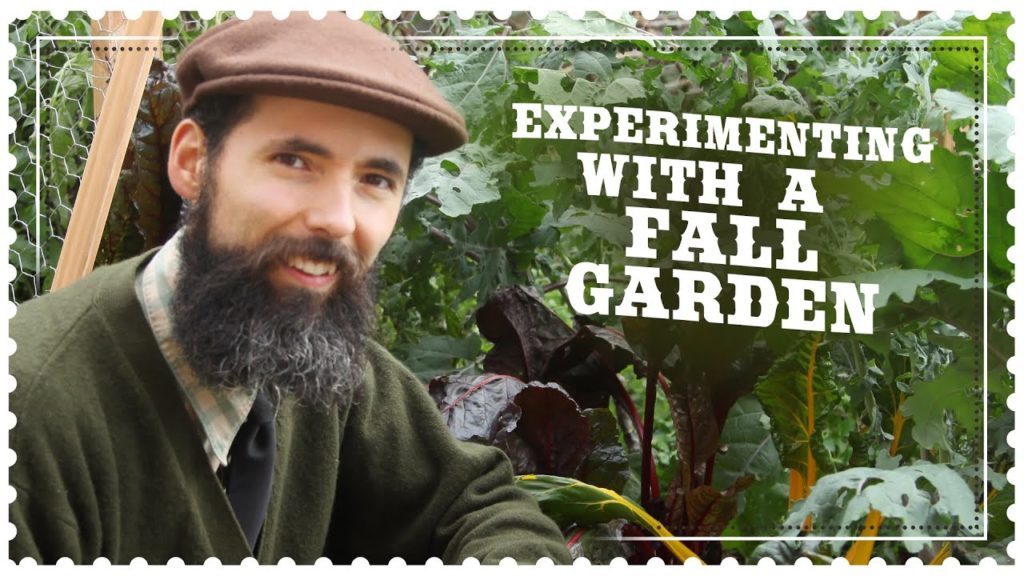 Growing a Fall Garden for the First Time