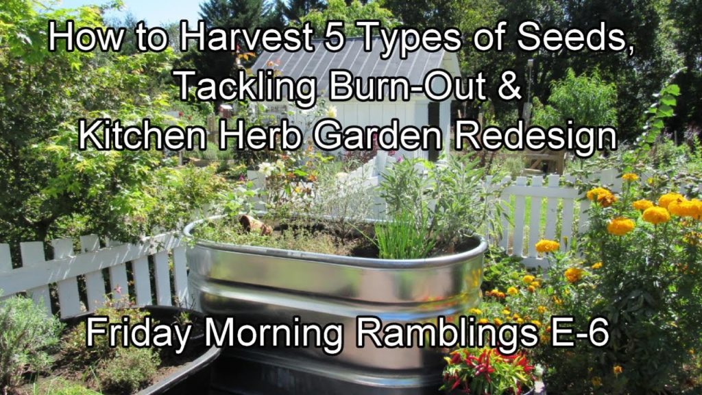 How to Harvest Seeds, Tackle Burn-Out, Kitchen Herb Garden Redesign: FM Garden Ramblings & Tour E-6