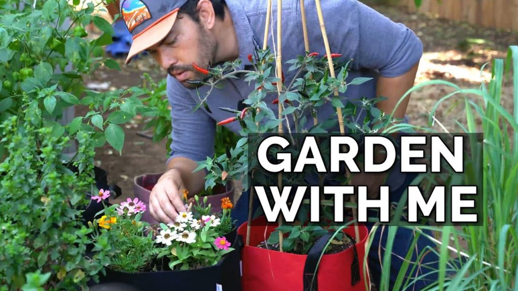Epic Gardening: Garden With Me: Starting Seeds, Pruning, Composting Garden With Me: Starting Seeds, Pruning, Composting