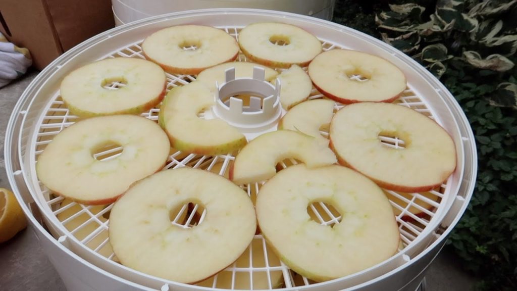 Garden Answer: Drying Apples & Trying Out A New Dehydrator! ๐๐๐// Garden Answer Drying Apples & Trying Out A New Dehydrator! ๐๐๐// Garden Answer