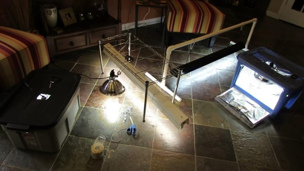 Easily Build A Vegetable Grow Light Station – 5 Design Options & 2 Builds/Use LEDs – TRG FLASHBACK