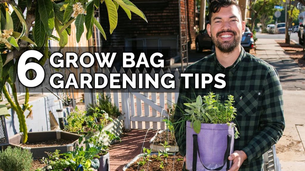 Epic Gardening: 6 Secret Grow Bag Techniques to Maximize Your Results 6 Secret Grow Bag Techniques to Maximize Your Results