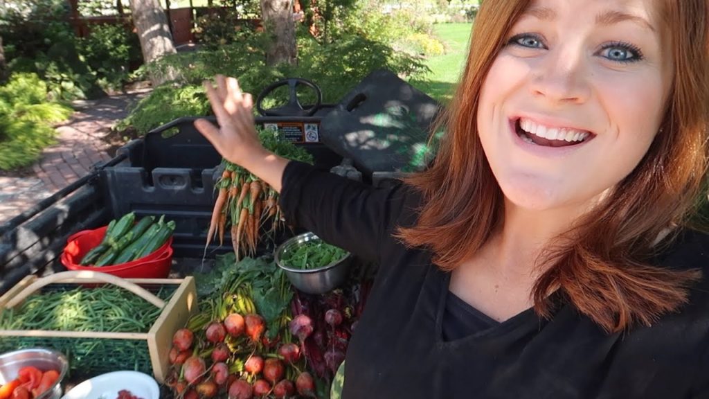 Harvesting Fall Crops! 🍓🥒🥕// Garden Answer