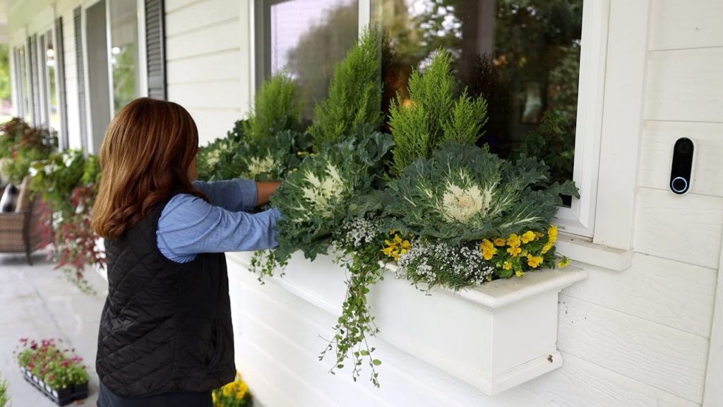 Planting Up A Window Box For Fall! 🌿