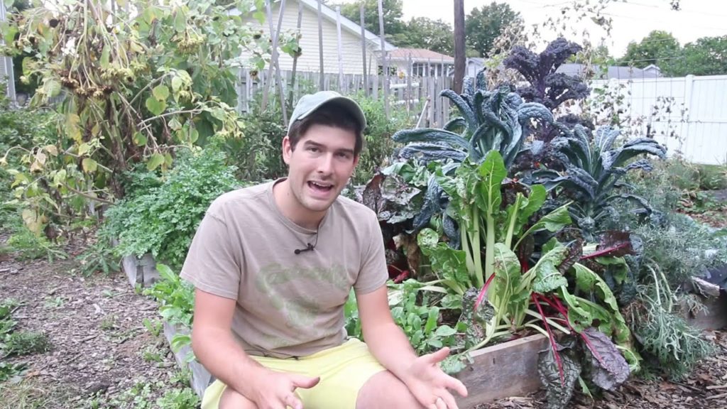 This Trick Changed How I Grow Volunteer Plants in My Garden Forever