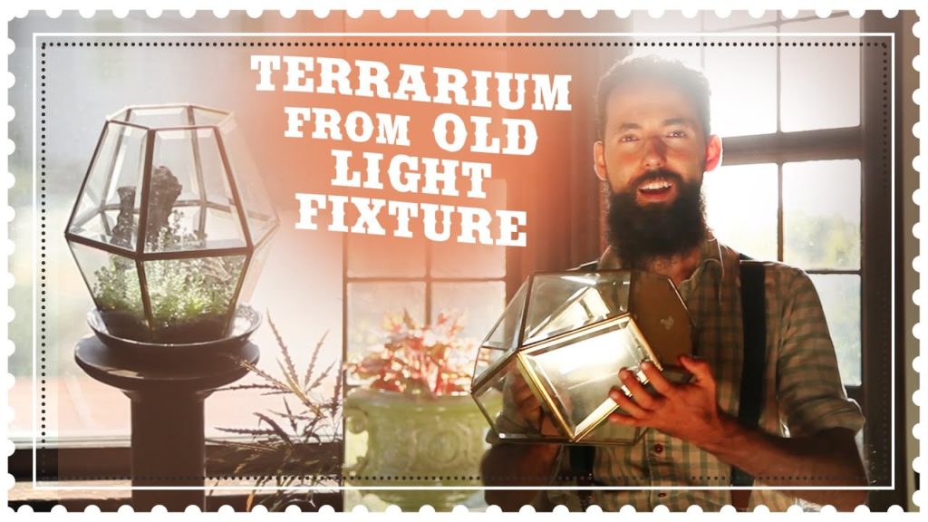 Make a Terrarium from Old Light Fixture - DIY