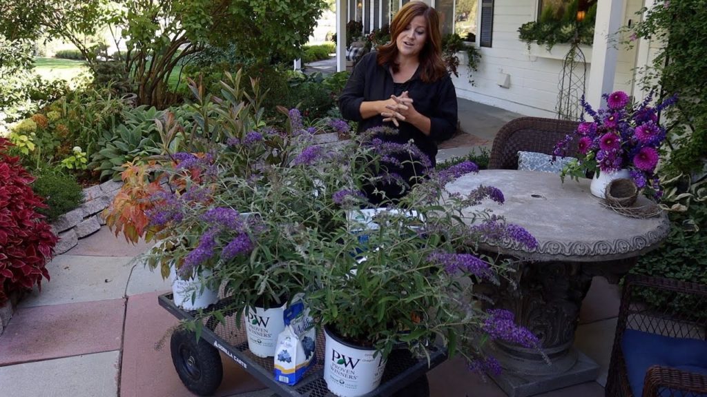 Garden Answer: Shrub Haul and Planting! 🌿// Garden Answer Shrub Haul and Planting! 🌿// Garden Answer