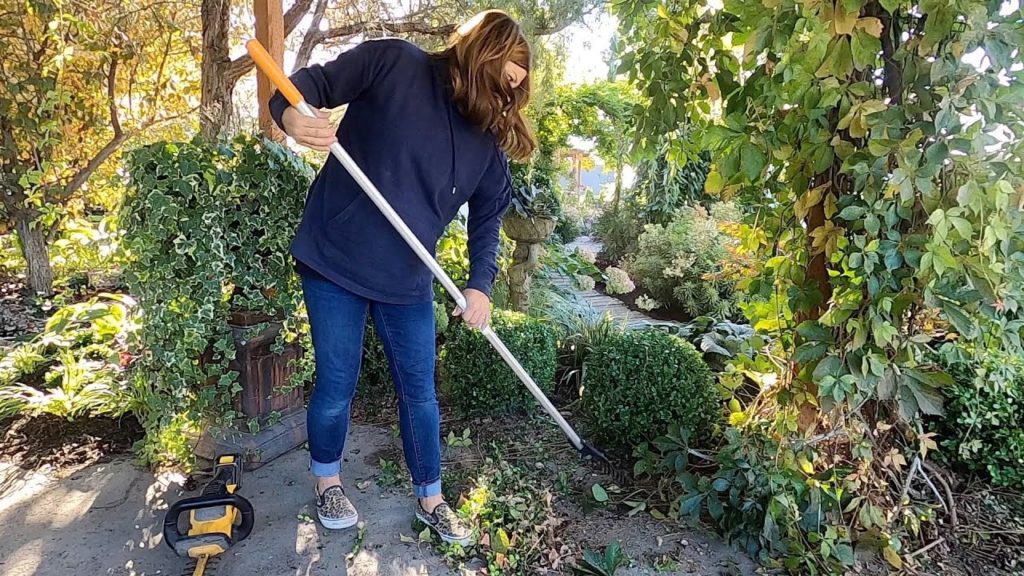 Barn & Root Cellar Update + Boxwood Trimming! ⚒🌿✂️ // Garden Answer