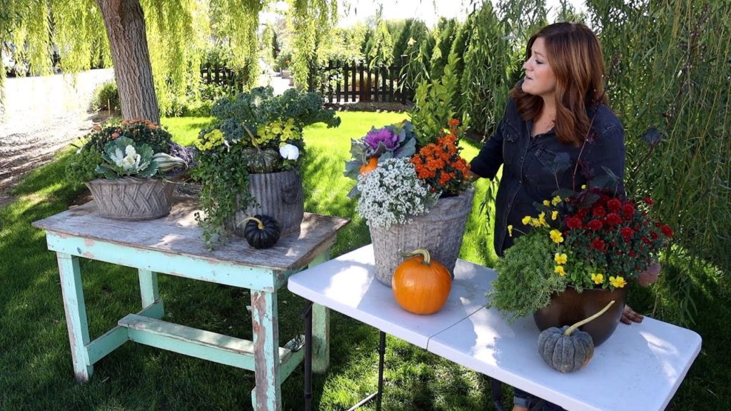 Four Fun Fall Containers! 🧡🍂 // Garden Answer