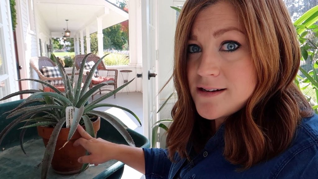 Garden Answer: Taking Care of a BAD Mealybug Infestation! 😝🤦♀️ // Garden Answer Taking Care of a BAD Mealybug Infestation! 😝🤦♀️ // Garden Answer