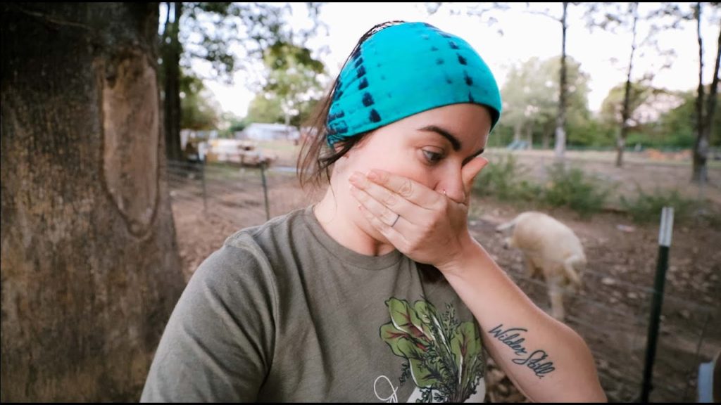 Roots and Refuge Farm: It's PIGLET time (All night pig farrowing) | VLOG It's PIGLET time (All night pig farrowing) | VLOG