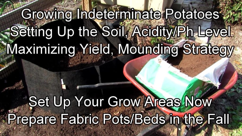 Setting Up An Indeterminate Potato Bed: How They Grow, Maximizing Yield, Fabric Pots & Soil Set Up