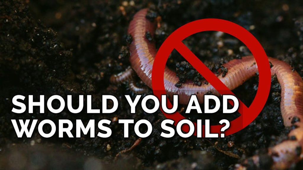 Epic Gardening: Adding Worms To Bad Soil Won't Fix It…Here's Why Adding Worms To Bad Soil Won't Fix It...Here's Why