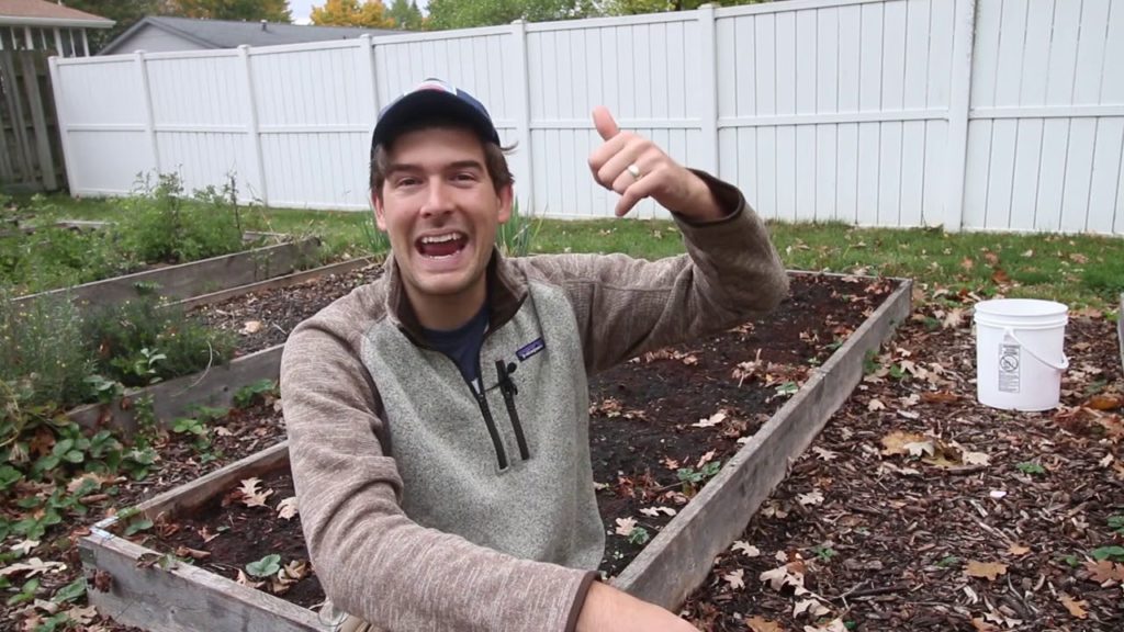 I Was 100% Sure Our Strawberry Beds DIED and then a Miracle Happened