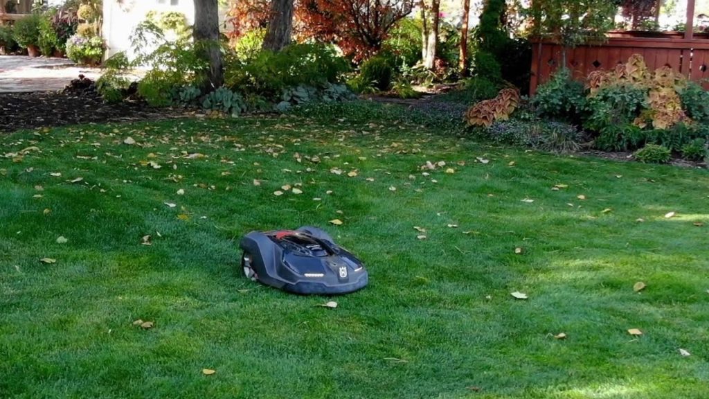 Garden Answer: Testing an Automower! Is this the Future? ๐๐ // Garden Answer Testing an Automower! Is this the Future? ๐๐ // Garden Answer