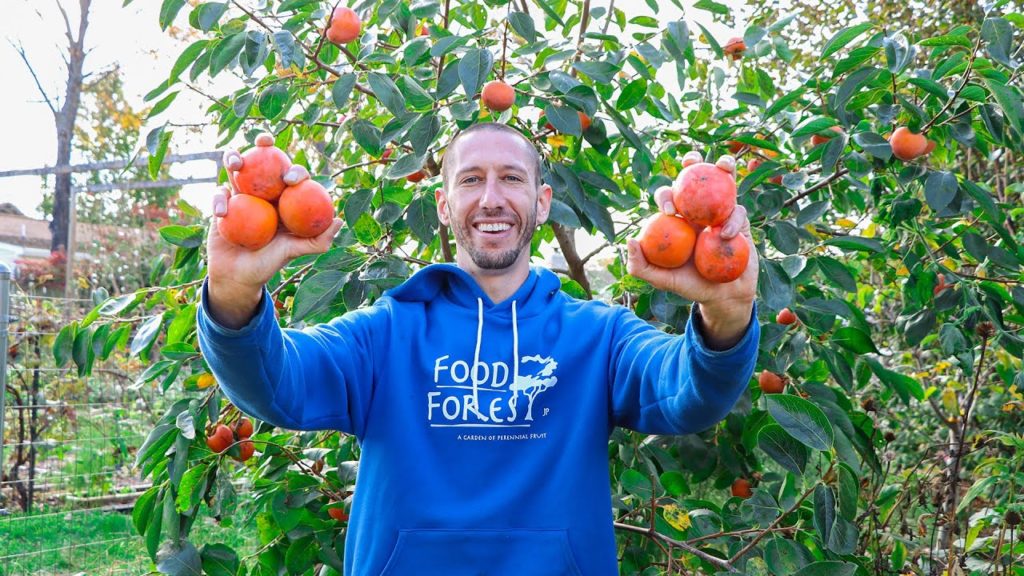 The One Fruit Tree EVERYONE Should Be Growing... Easy, Reliable, and Delicious