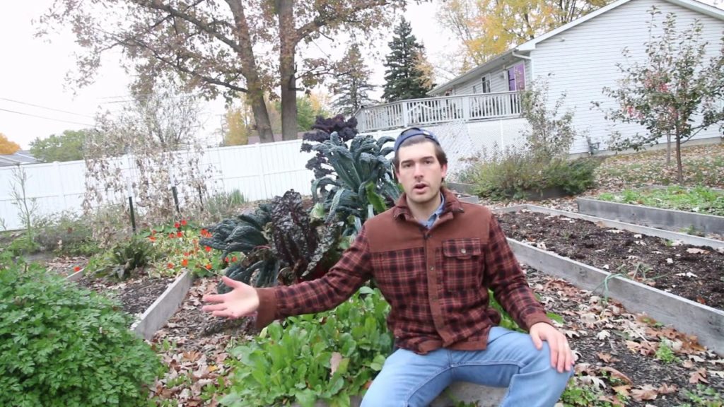 MIgardener: Stop! Before You Build a Raised Bed WATCH THIS VIDEO Stop! Before You Build a Raised Bed WATCH THIS VIDEO