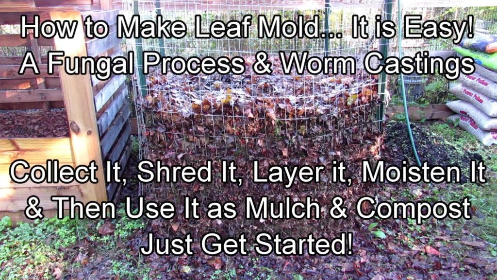 How to Easily Make Leaf Mold: Collect, Shred & Moisten Them - A Fungal  Process with Worm Castings!