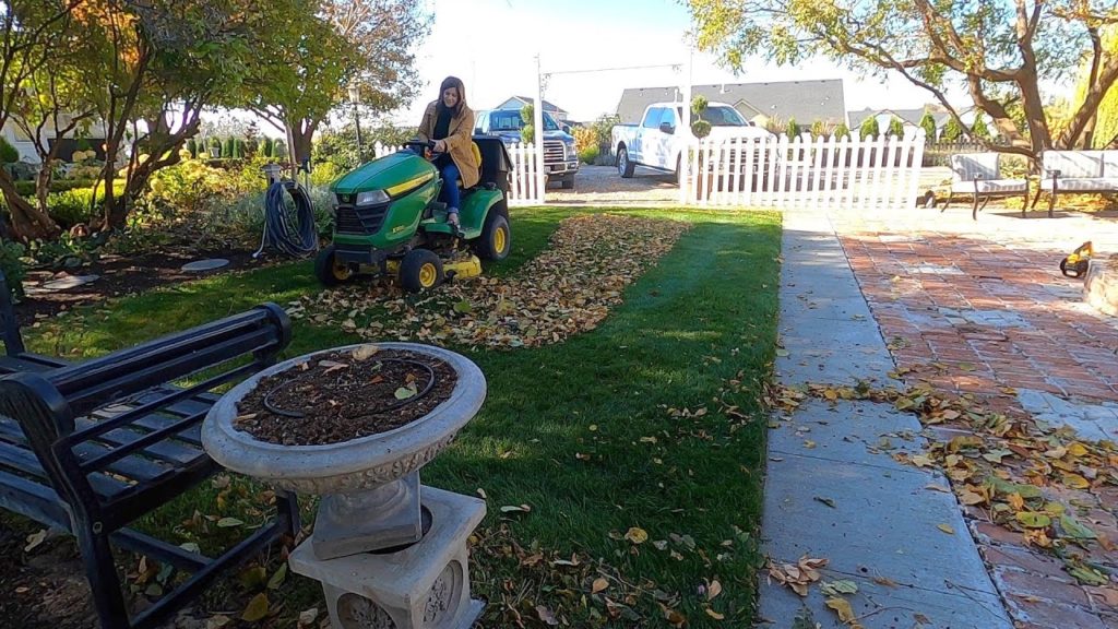 Garden Answer: Flower Bed Cleanup, Leaf Mulch, Dahlia Storage & Cooking Butternut Squash Chili! ๐ฉโ๐พ๐๐ฉโ๐ณ Flower Bed Cleanup, Leaf Mulch, Dahlia Storage & Cooking Butternut Squash Chili! ๐ฉโ๐พ๐๐ฉโ๐ณ