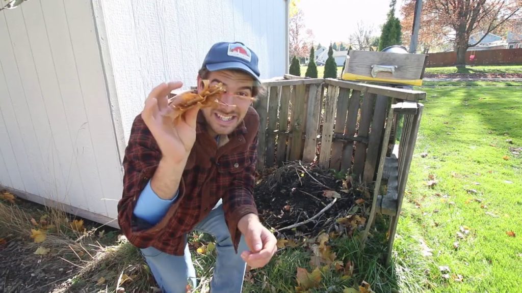 What Things Make Great Compost & What Things Shouldn’t Be Composted