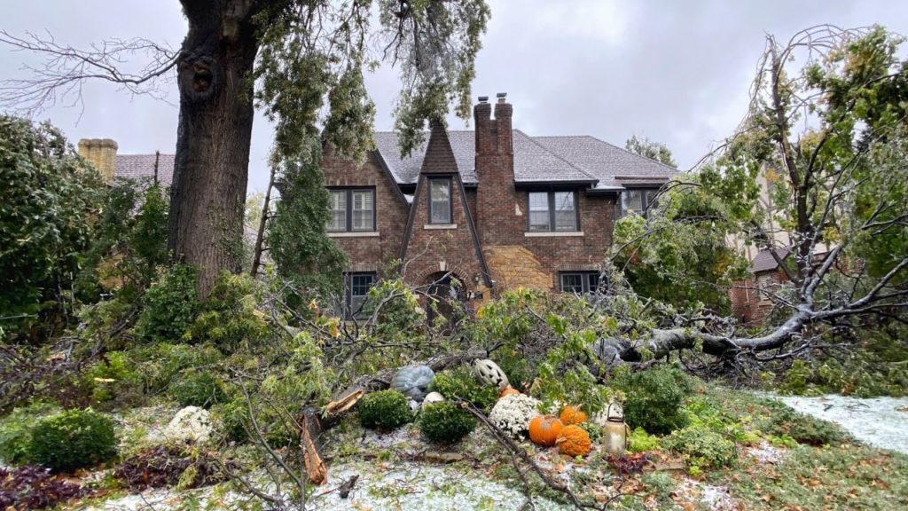 Ice Storm Aftermath Garden Tour w/ Linda Vater 🌿