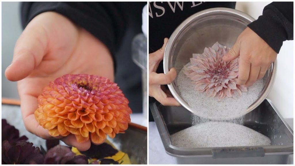 Garden Answer: Drying Flowers with Silica GelCrystals + A Fun Way to Display Them! 💗🥰🌼 // Garden Answer Drying Flowers with Silica GelCrystals + A Fun Way to Display Them! 💗🥰🌼 // Garden Answer