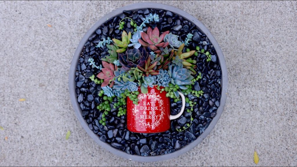 Garden Answer: Eat, Drink & Be Merry! 🎄☕️🥰 // Garden Answer Eat, Drink & Be Merry! 🎄☕️🥰 // Garden Answer