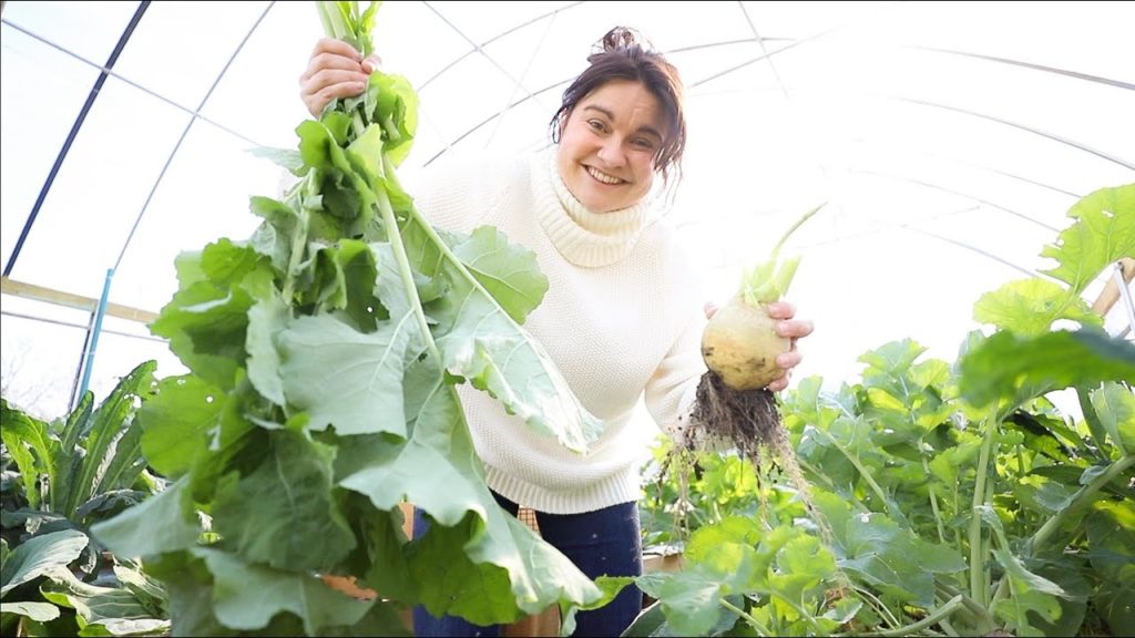 High Tunnel Harvest (Tree Killers And Merch Pre-Orders) | VLOG