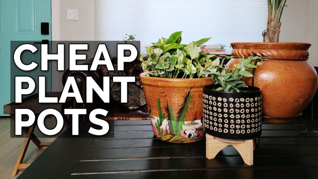 Epic Gardening: Cheap Plant Pots: Walmart vs. Target vs. Marshalls vs. Consignment Stores! Cheap Plant Pots: Walmart vs. Target vs. Marshalls vs. Consignment Stores!