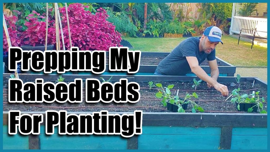 California Garden TV: How I Prepare My Raised Beds for Planting How I Prepare My Raised Beds for Planting