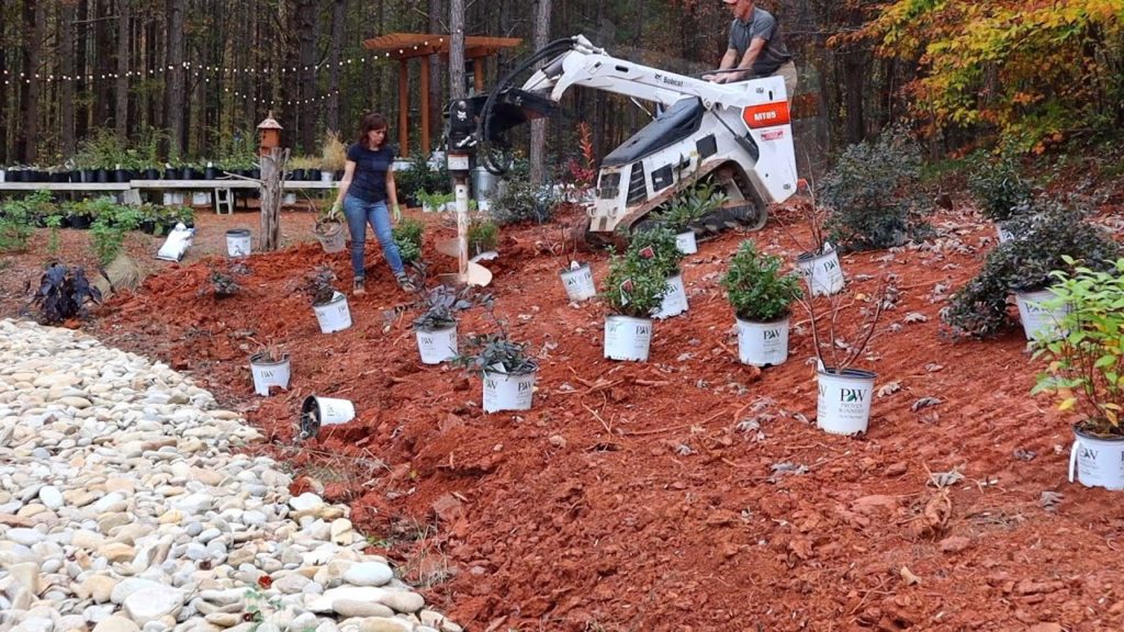 Landscaping a Slope w/ Jenny from Gardening With Creekside! 🌿