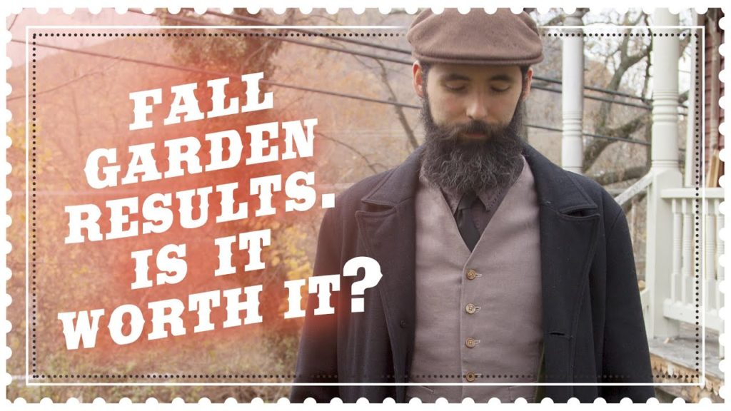 Siloé Oliveira: Planting a Fall Garden – Was it Worth it? Planting a Fall Garden - Was it Worth it?